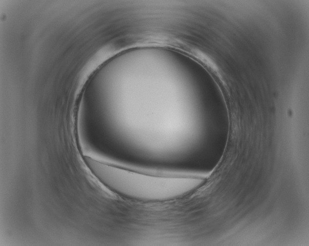 X0000062861480200601131403