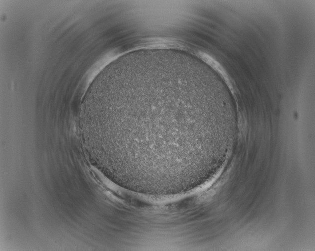 X0000062861481200601131403