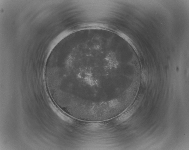 X0000062861482200601131403