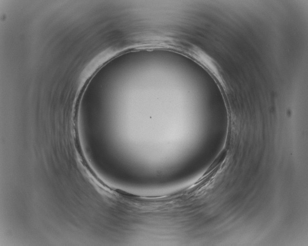 X0000062861485200601131402