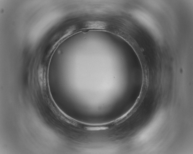 X0000062861487200601131402