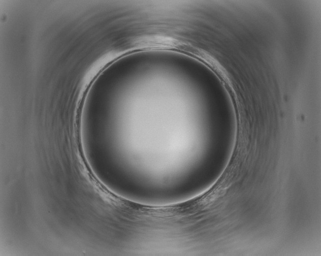 X0000062861488200601131402