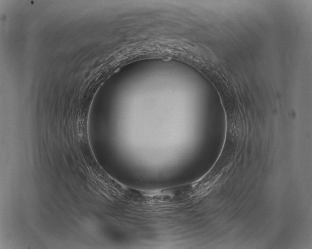 X0000062861490200601131402