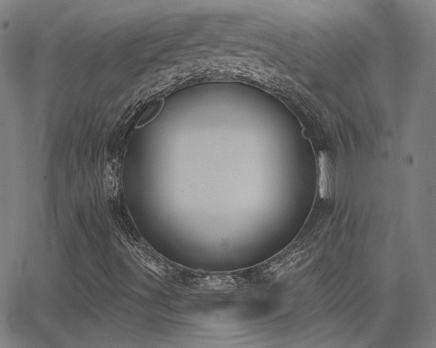 X0000062861491200601131402