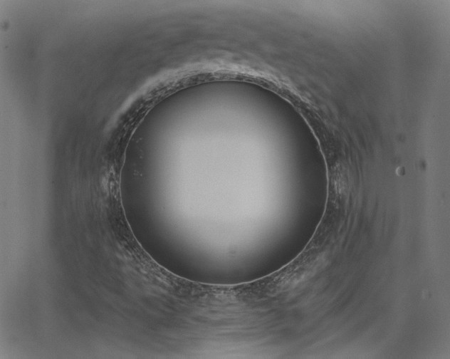 X0000062861495200601131402