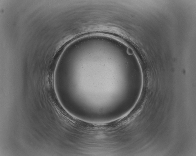 X0000062861497200601131402