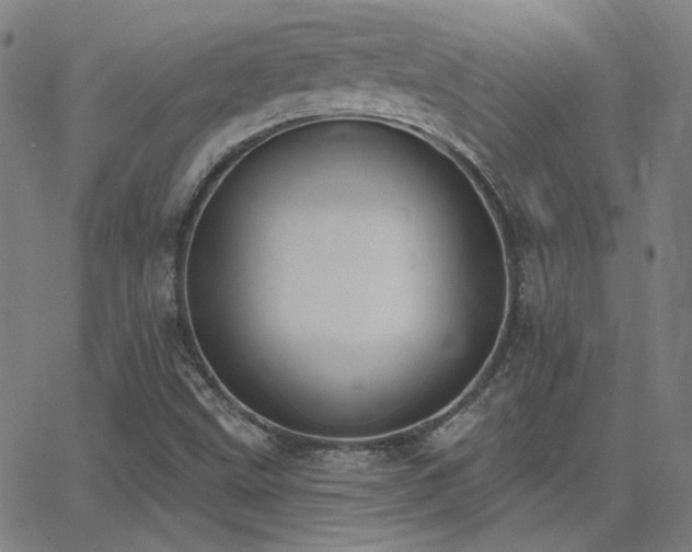 X0000062861499200601131402