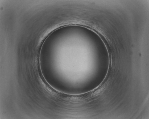 X0000062861500200601131402