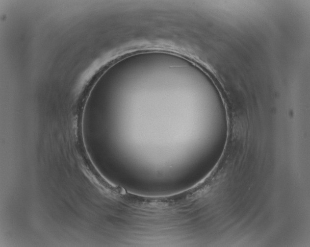 X0000062861503200601131402