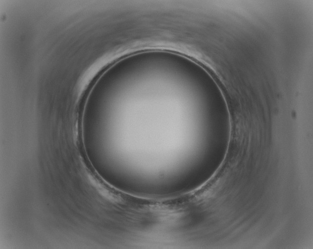 X0000062861511200601131402