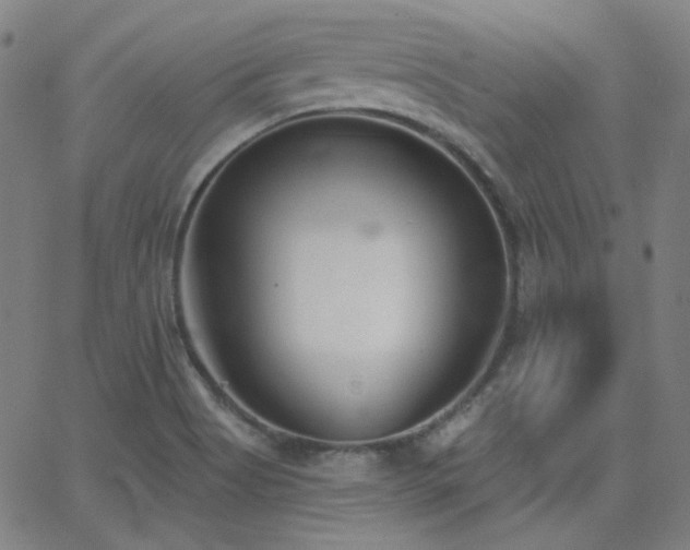 X0000062861513200601131402