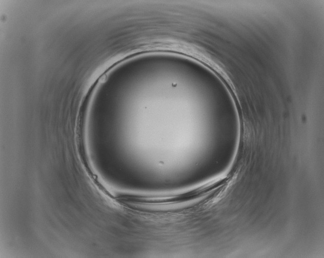 X0000062861533200601131402