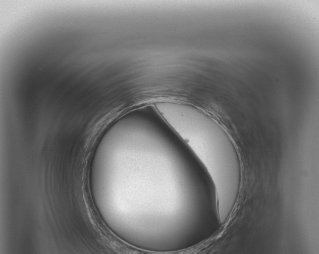 X0000062860001200601171549