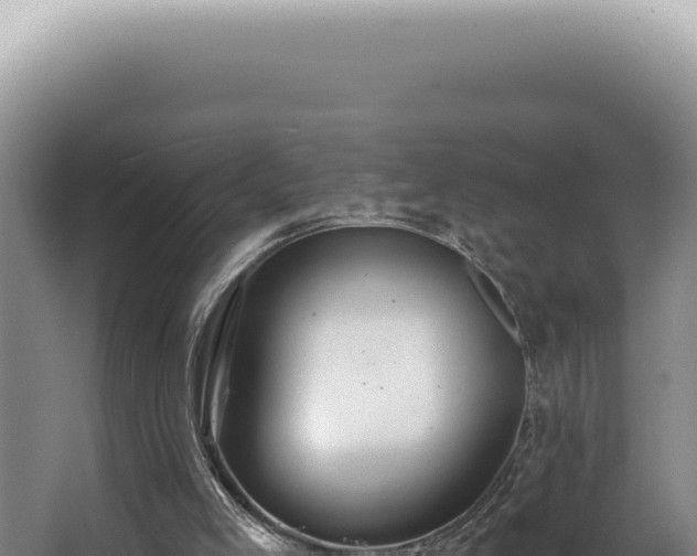 X0000062860005200601171549