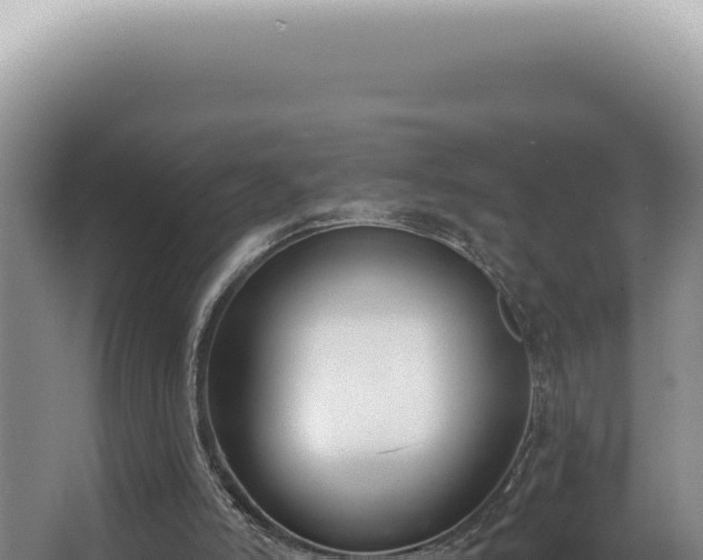 X0000062860006200601171549