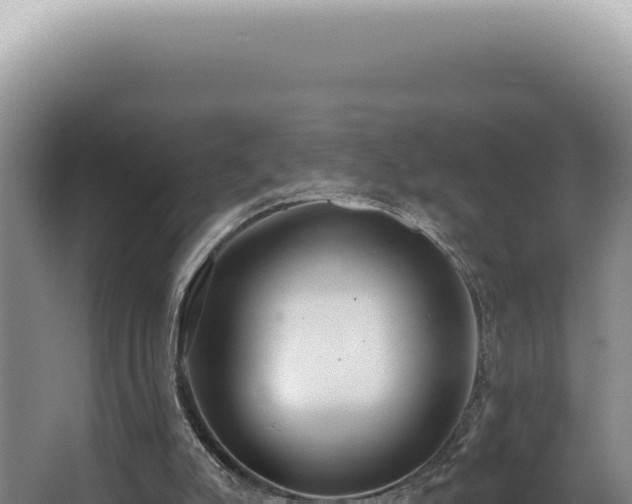 X0000062860007200601171549