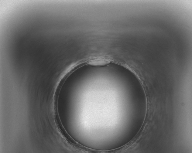 X0000062860008200601171549