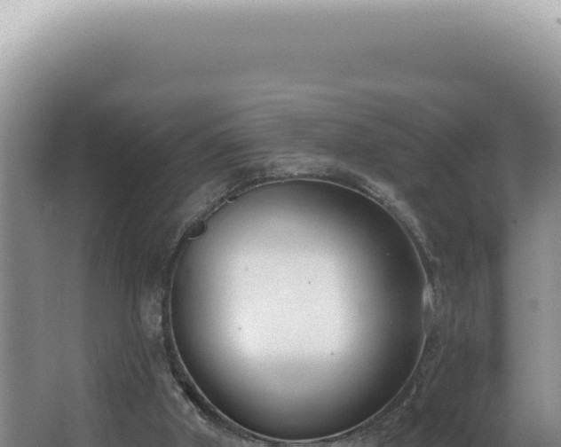 X0000062860010200601171549