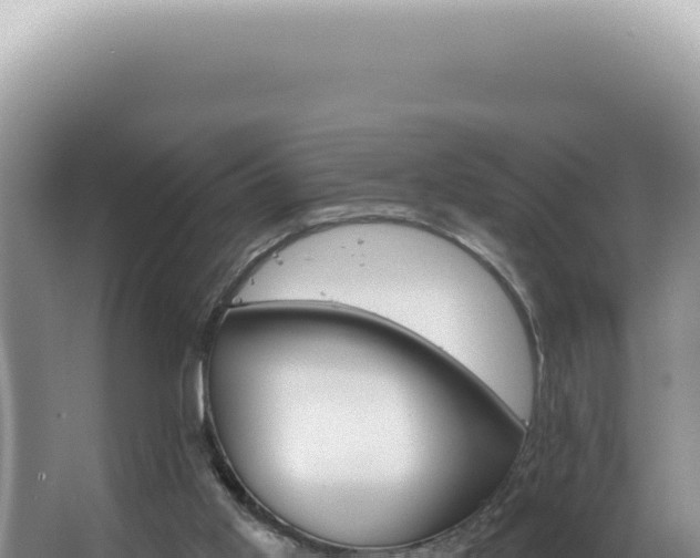 X0000062860013200601171549