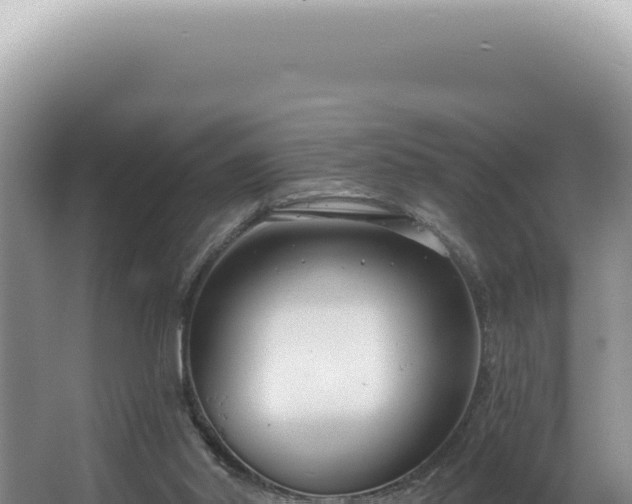 X0000062860014200601171549