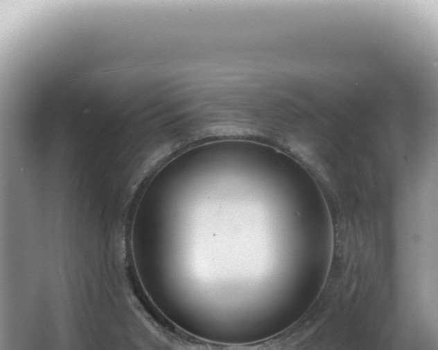 X0000062860015200601171549