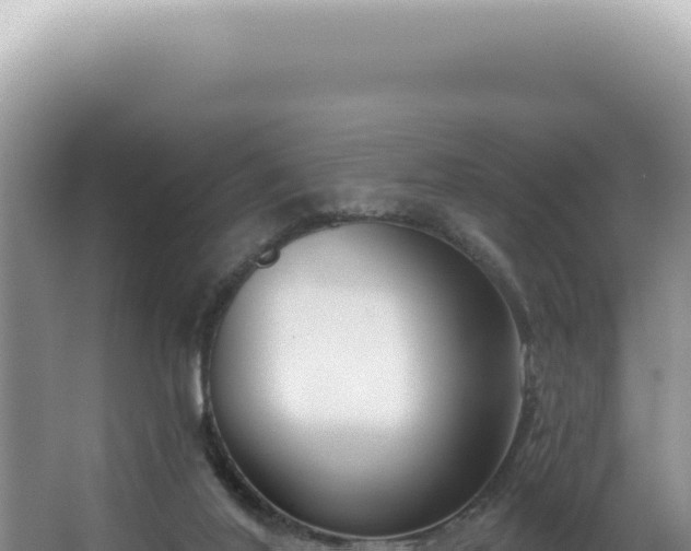 X0000062860020200601171549