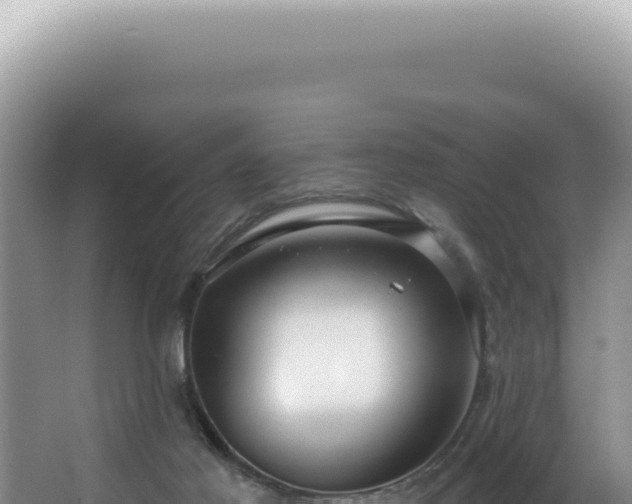 X0000062860021200601171549