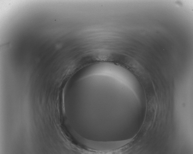 X0000062860031200601171548