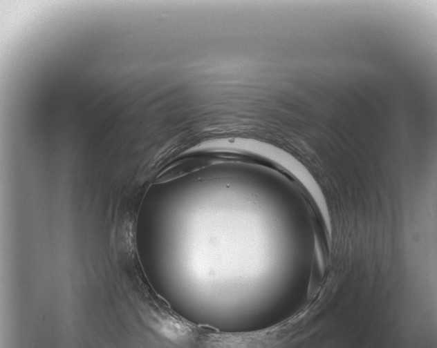 X0000062860045200601171548