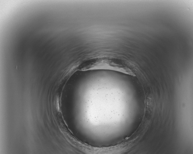 X0000062860046200601171548