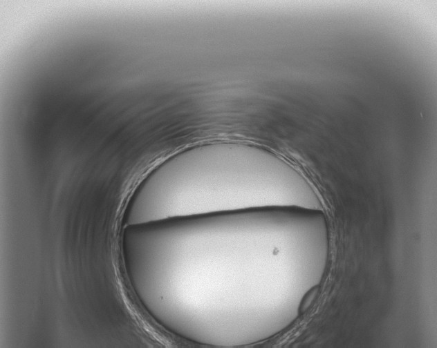 X0000062860049200601171547