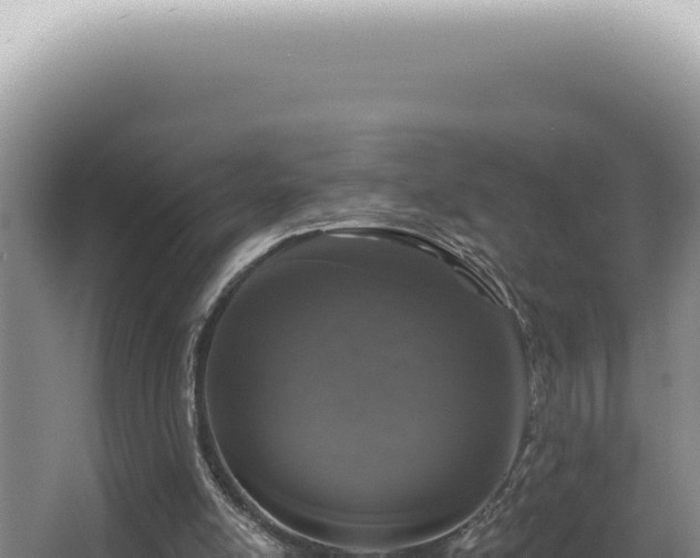 X0000062860054200601171547