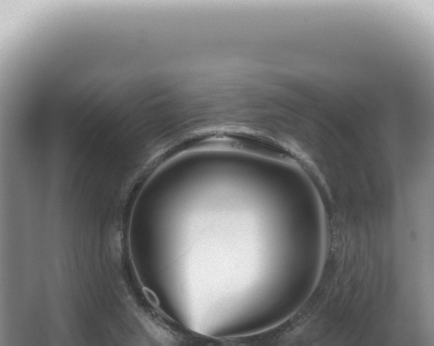 X0000062860063200601171548