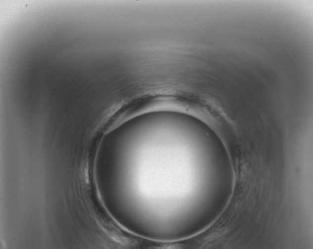 X0000062860068200601171548