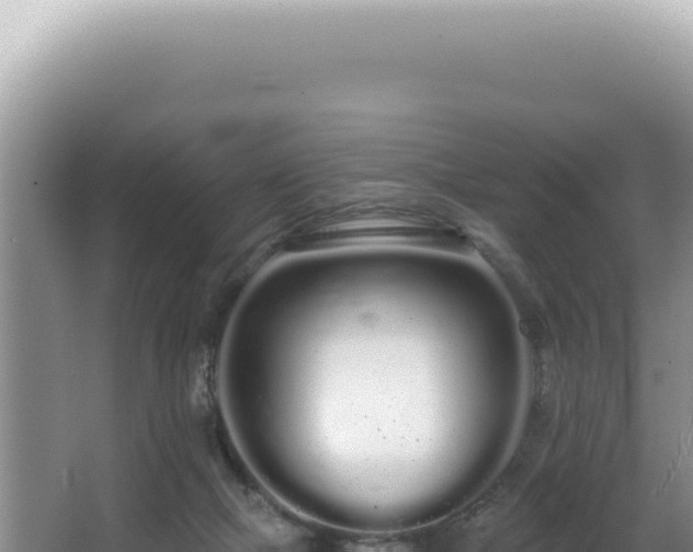 X0000062860073200601171548