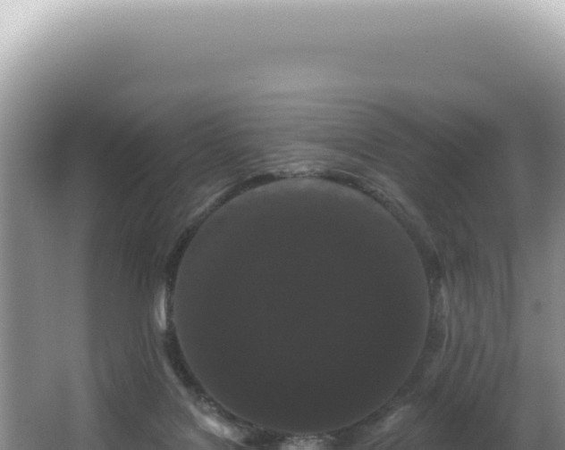 X0000062860076200601171548