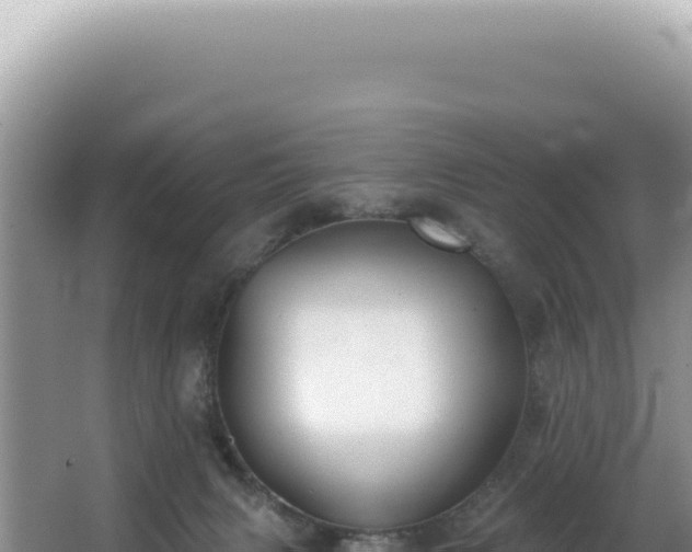 X0000062860079200601171548