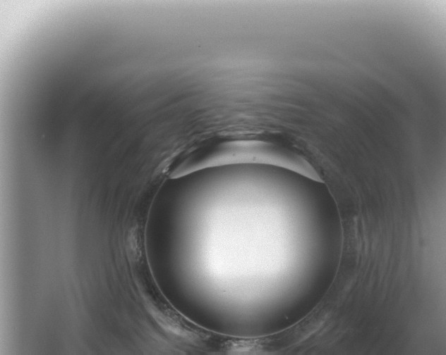 X0000062860088200601171548