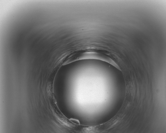 X0000062860092200601171548