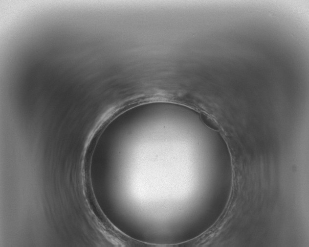 X0000062860102200601171547