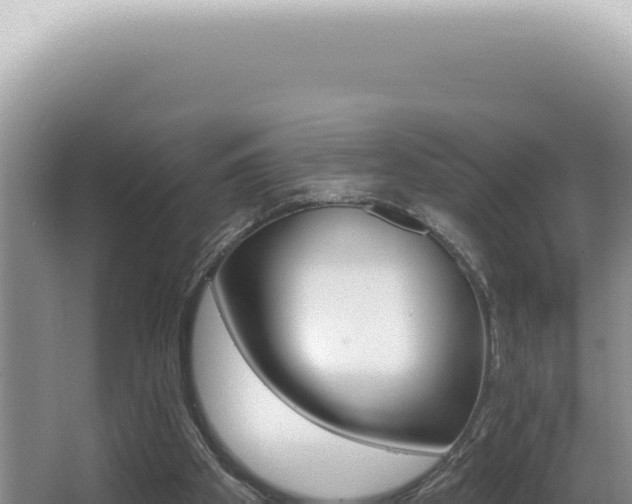 X0000062860105200601171547