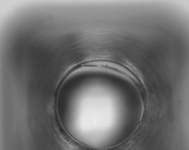 X0000062860107200601171547