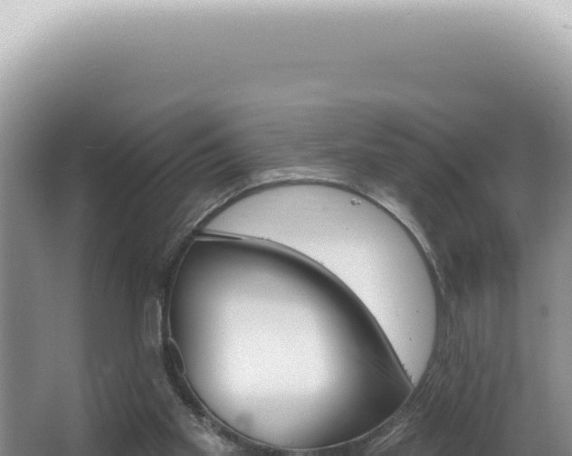 X0000062860109200601171547