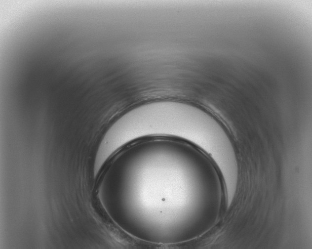 X0000062860117200601171547
