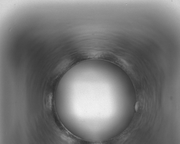X0000062860118200601171547