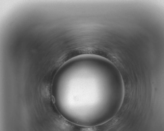 X0000062860131200601171547