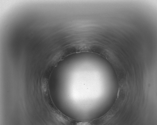 X0000062860133200601171547