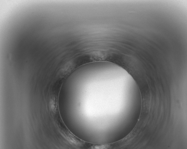 X0000062860134200601171547