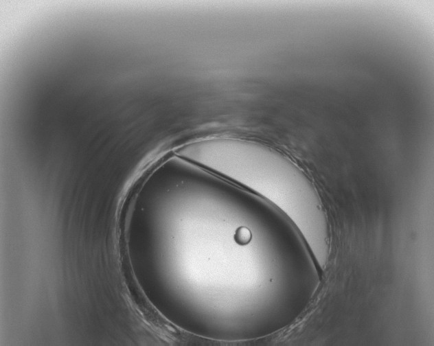 X0000062860150200601171546
