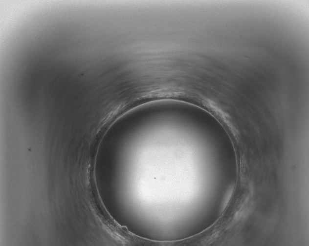 X0000062860153200601171546